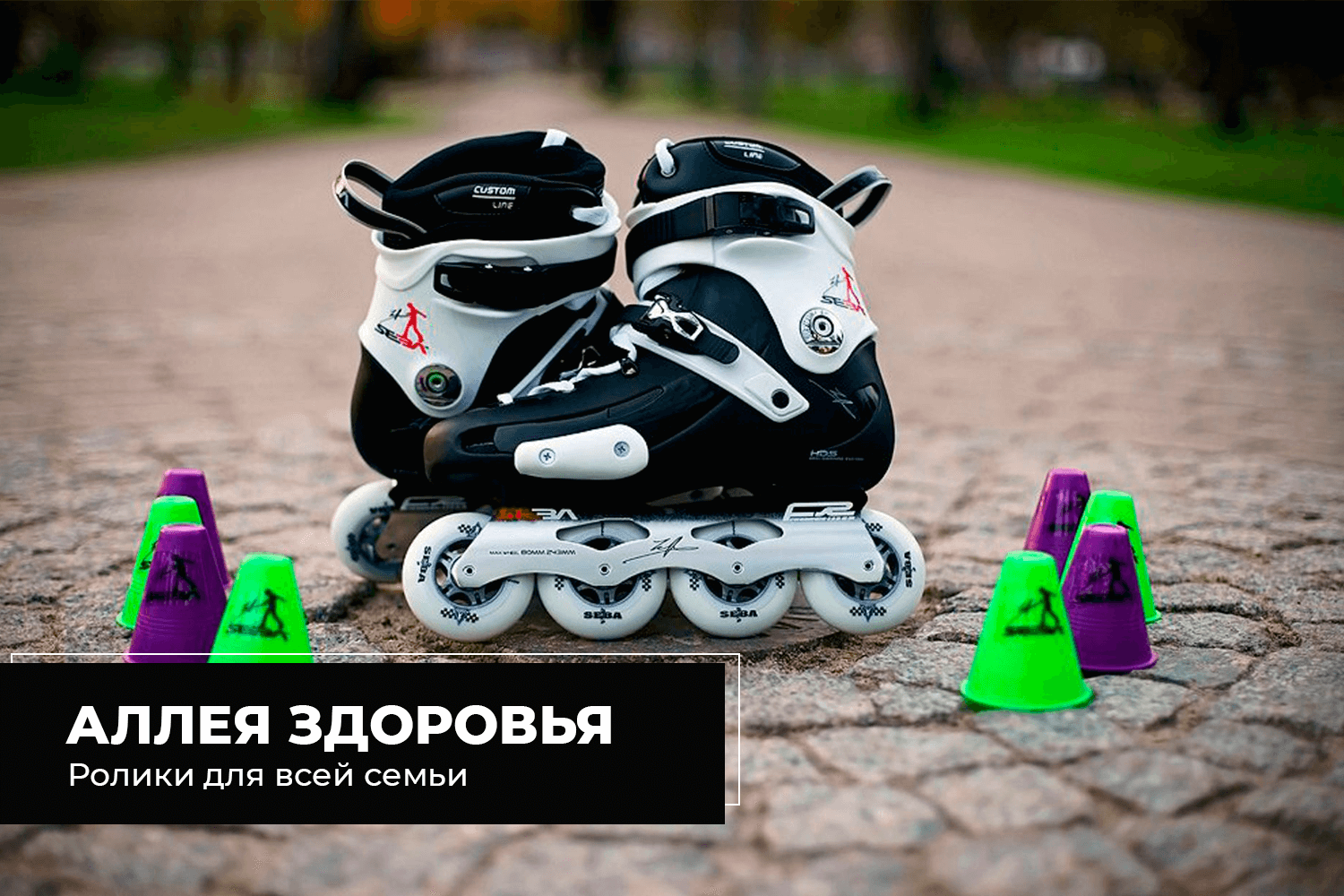 Аллея Здоровья