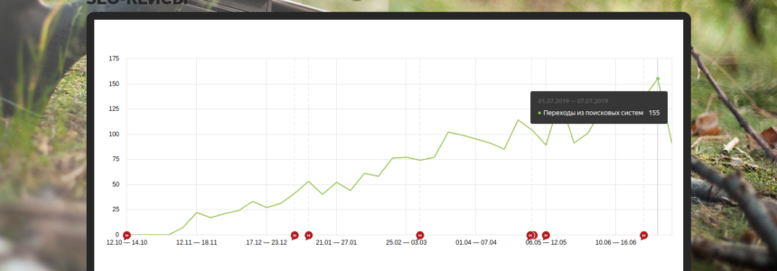 Запустили интернет-магазин с нуля за пол года